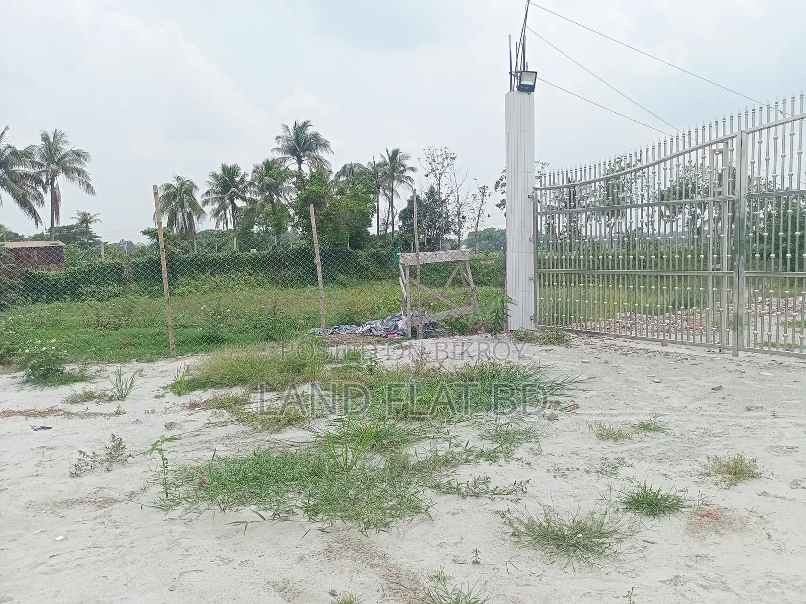 Natural Environment @ 6 Katha Land for Sale, Mikhail Road in Keraniganj