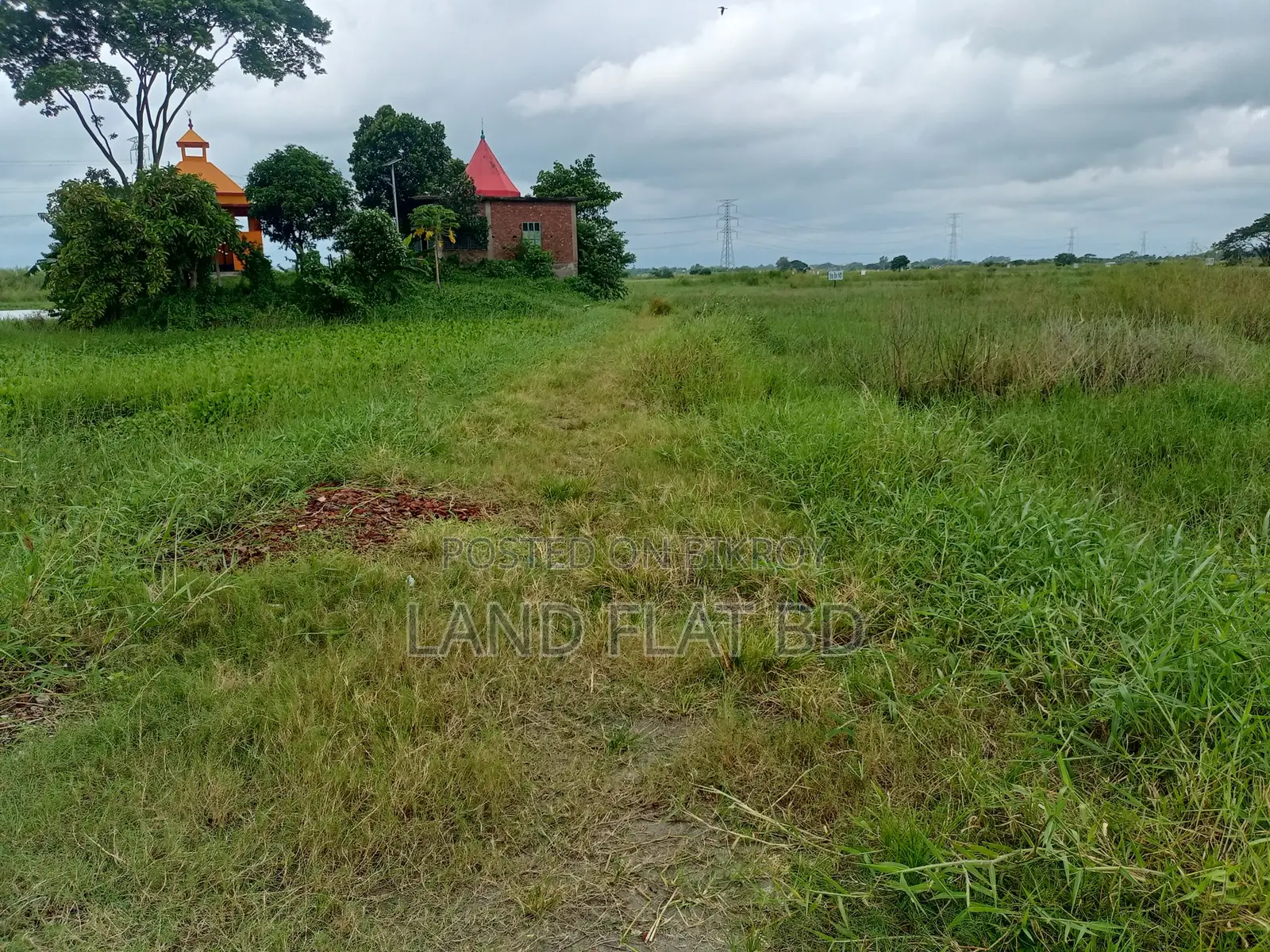 Natural Environment @ 6 Katha Land for Sale, Mikhail Road in Keraniganj