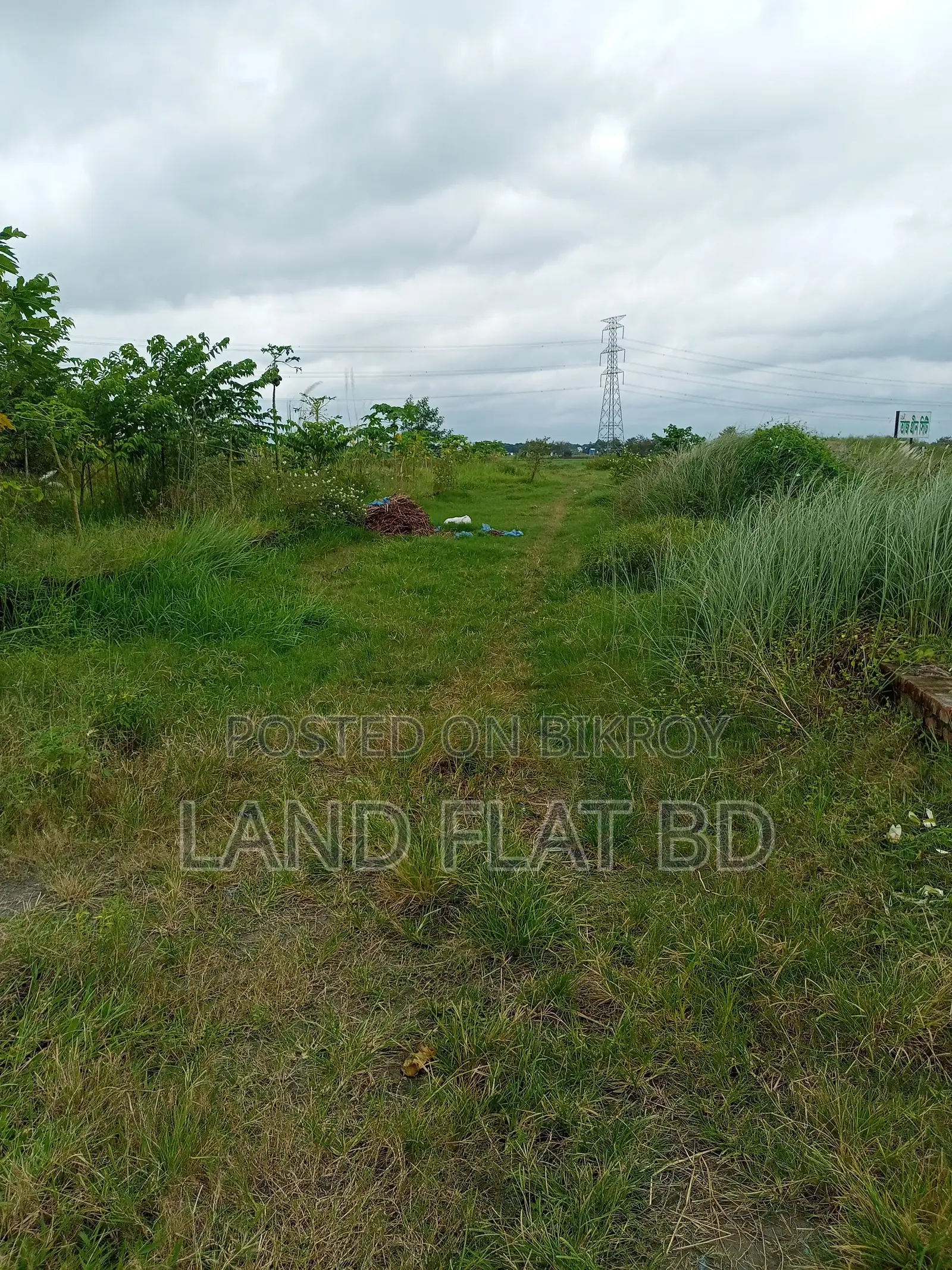 Natural Environment @ 6 Katha Land for Sale, Mikhail Road in Keraniganj