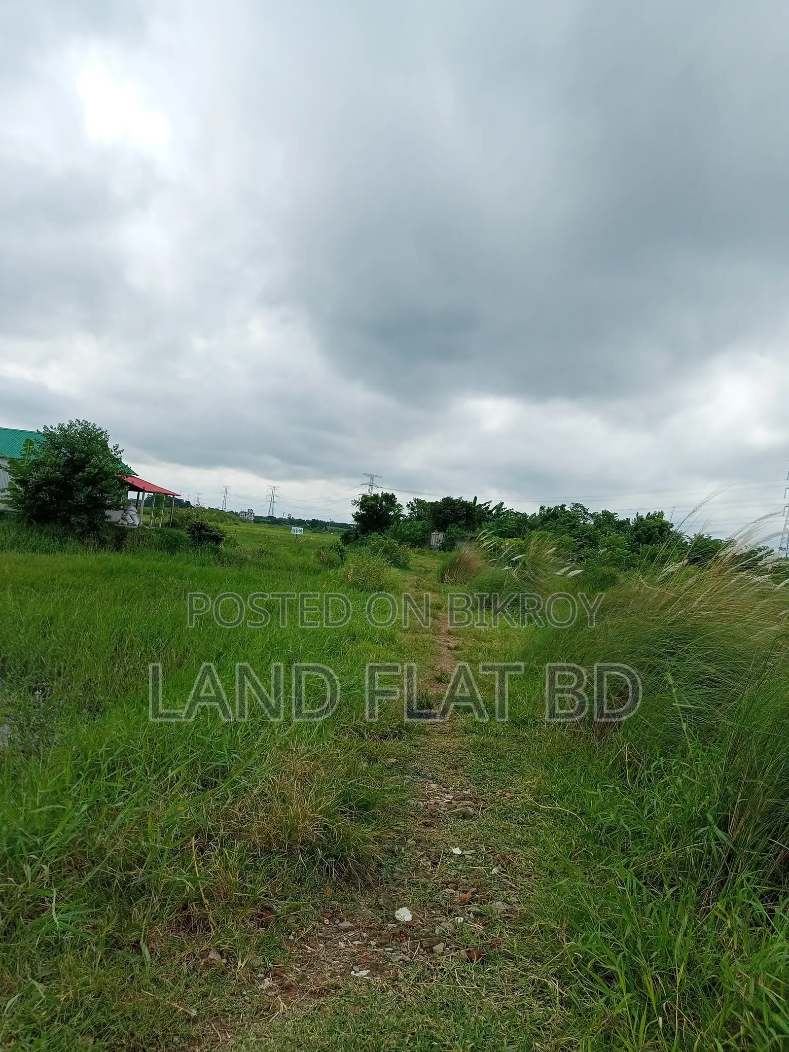 Natural Environment @ 6 Katha Land for Sale, Mikhail Road in Keraniganj