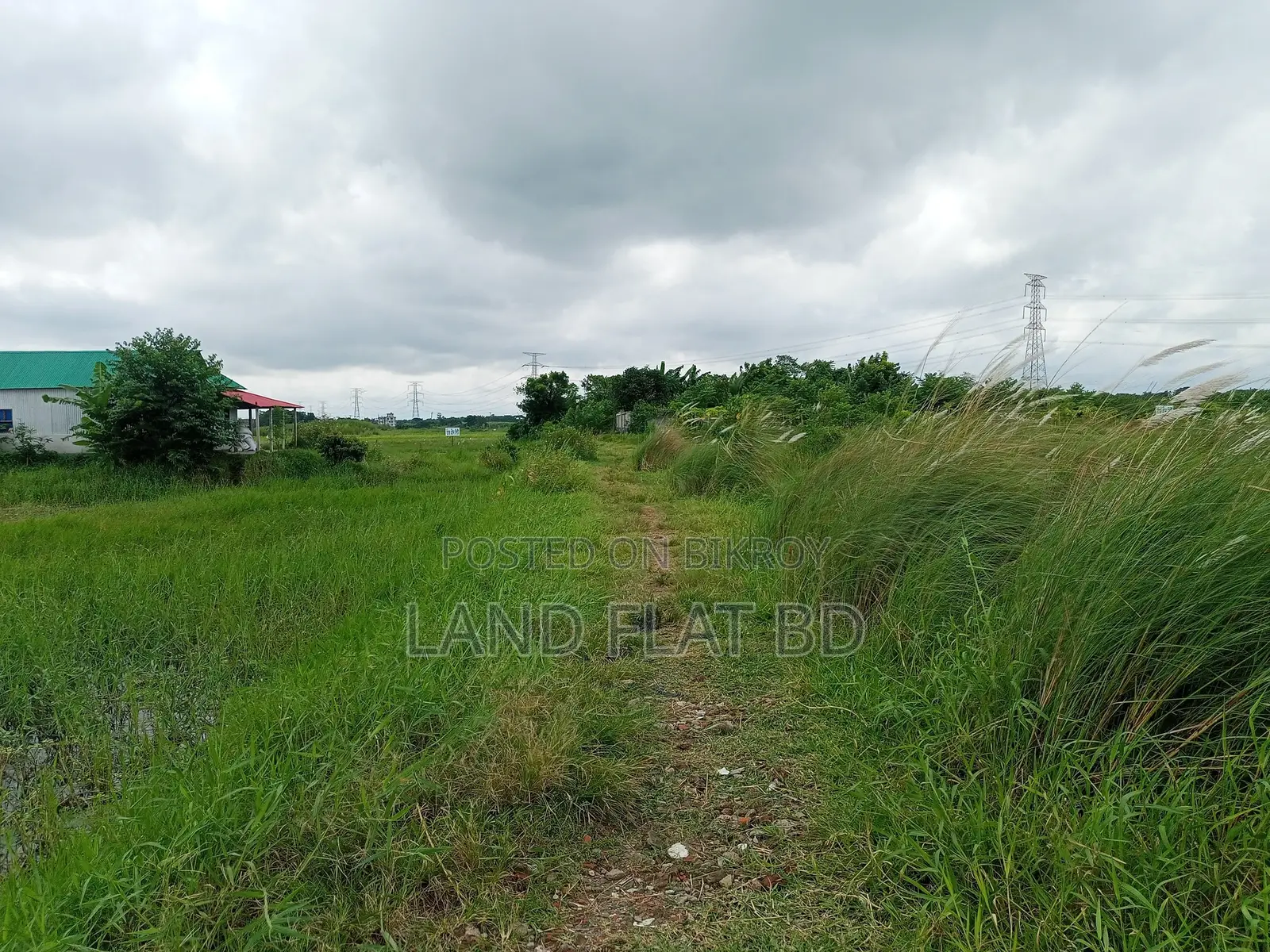Natural Environment @ 6 Katha Land for Sale, Mikhail Road in Keraniganj