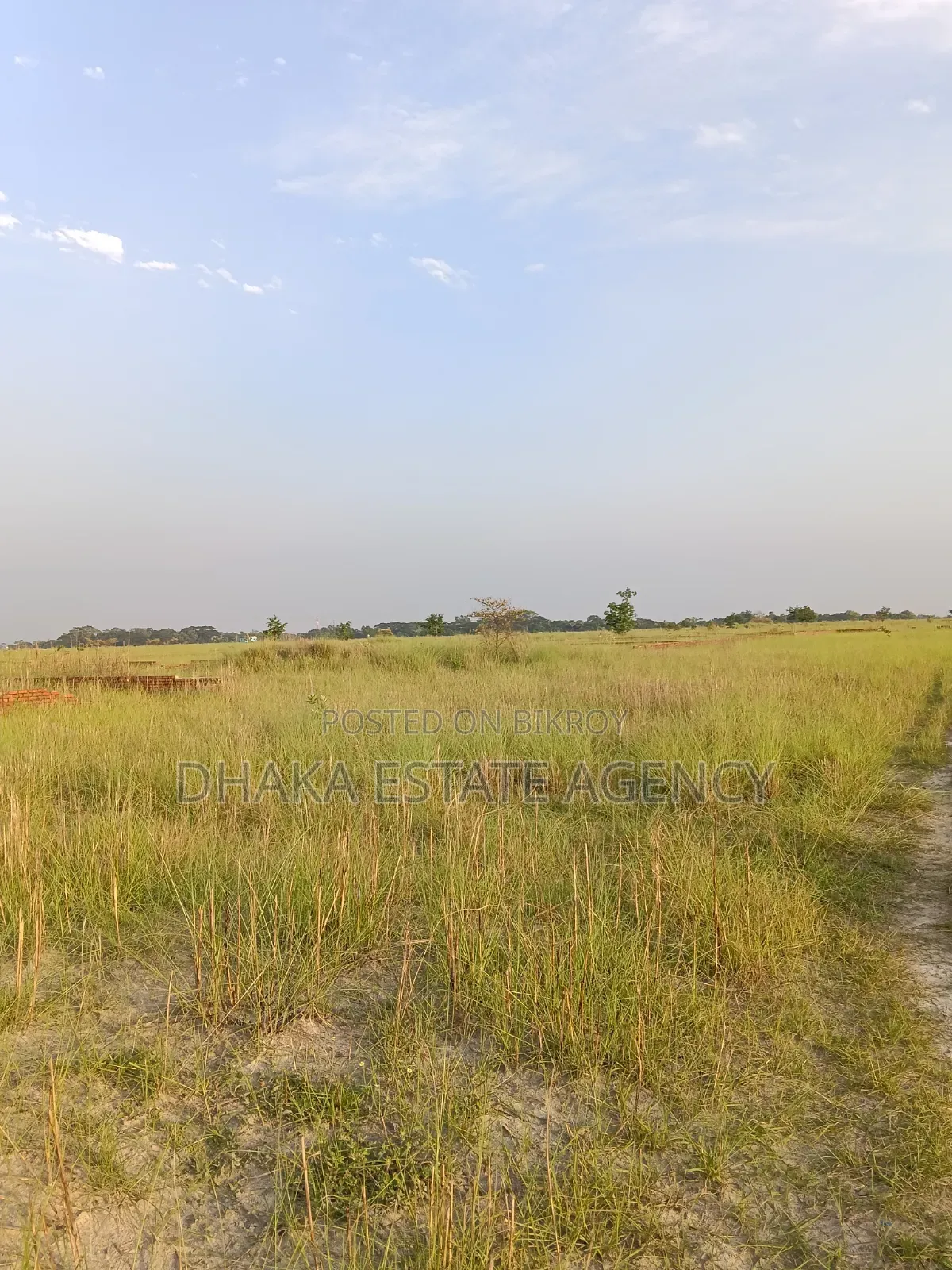 Urgent P-Ext, 4 Katha Plot Sale in Basundhara