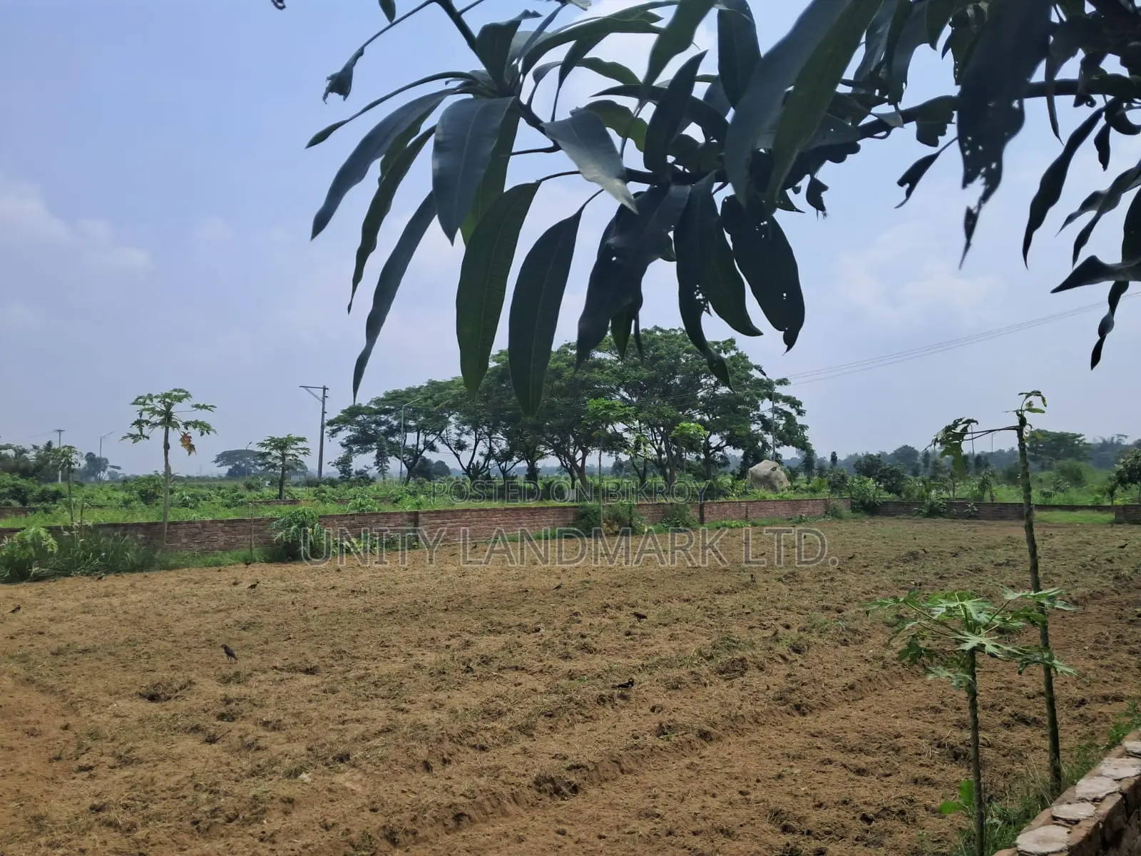 Prime 20 Katha Mega Plot for Sale at Tribhuban Dreamland City in Singair