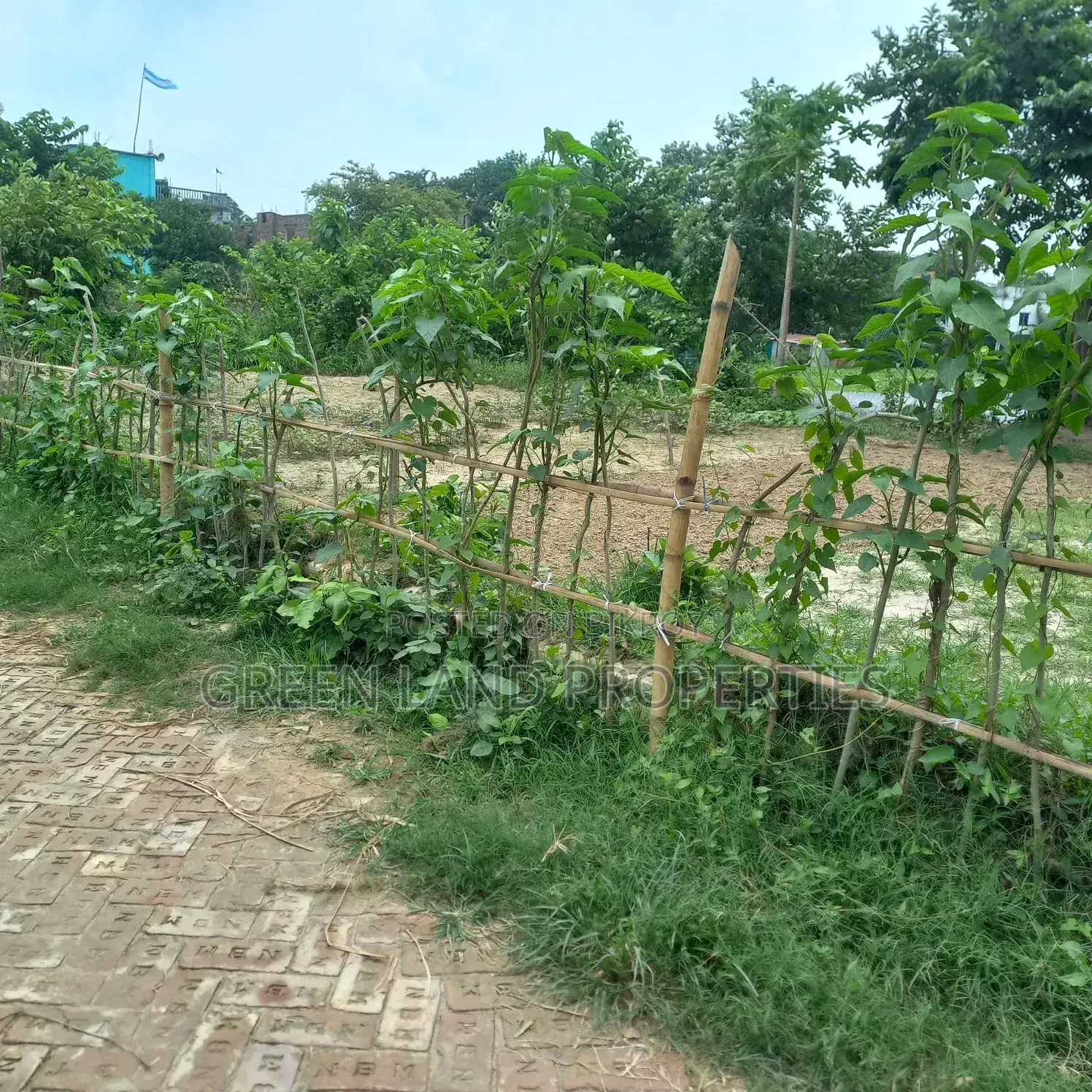 Ready Plot 12 Lac Near Bashundhara Keraniganj in Keraniganj