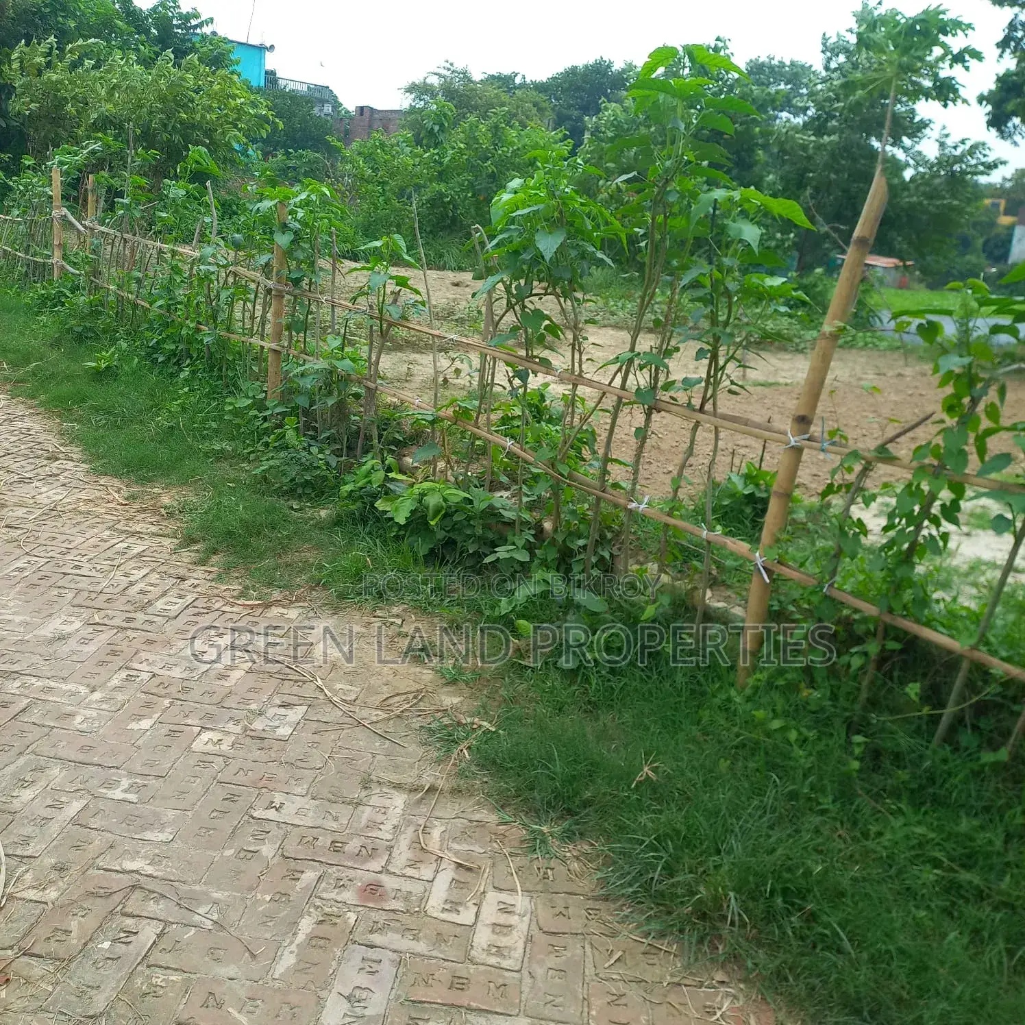 Ready Plot 12 Lac Near Bashundhara Keraniganj in Keraniganj