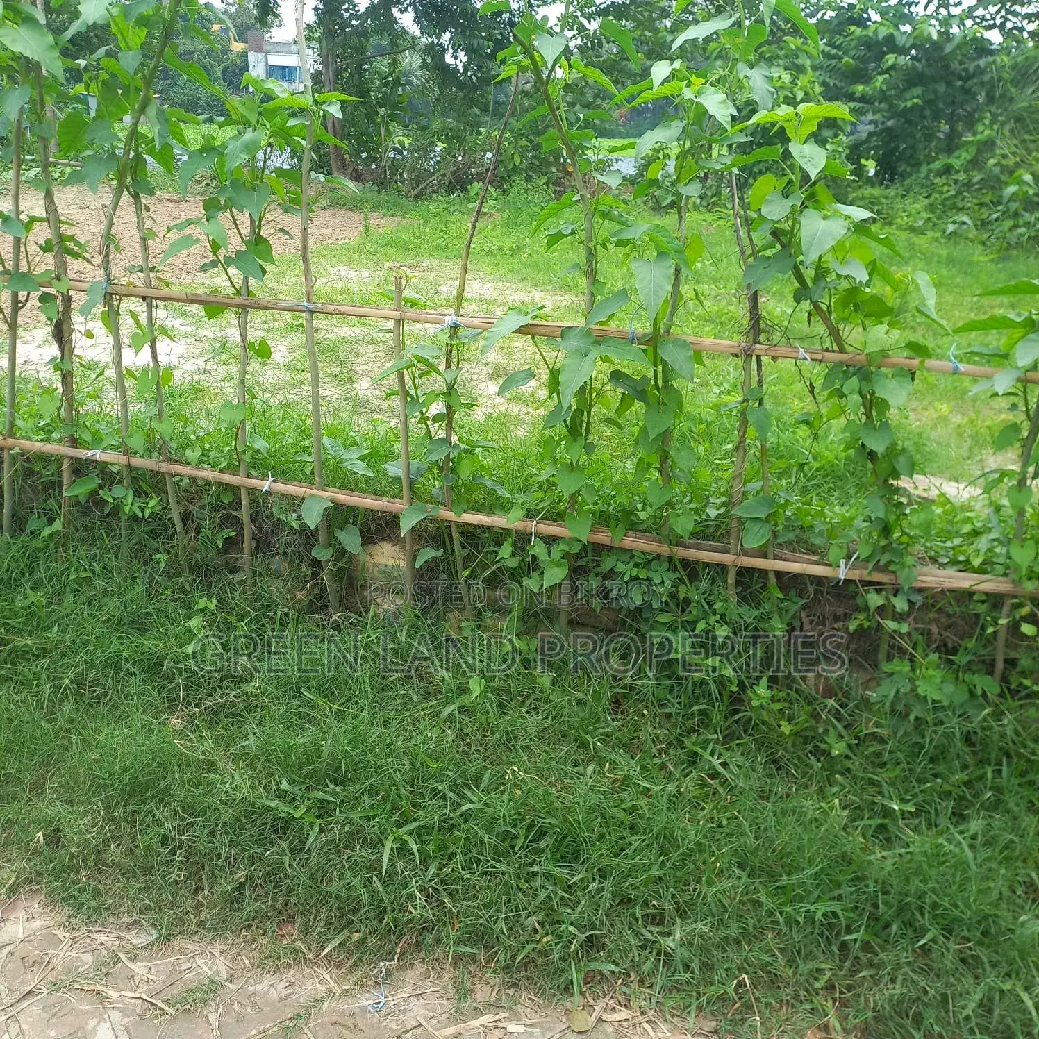 Ready Plot 12 Lac Near Bashundhara Keraniganj in Keraniganj