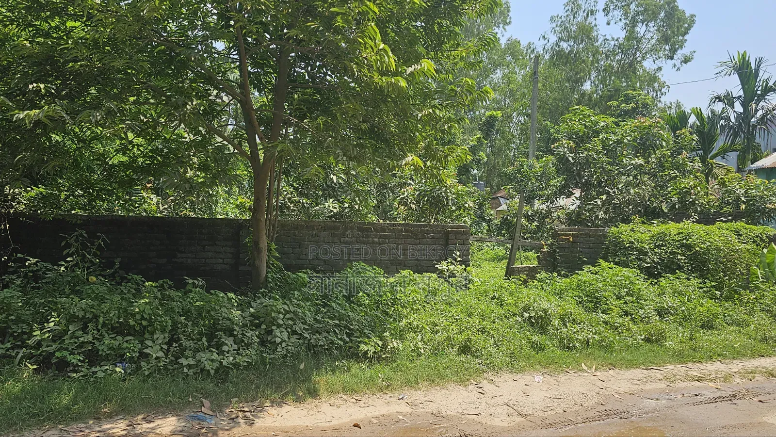 10 decimal single ownership land. in Birampur
