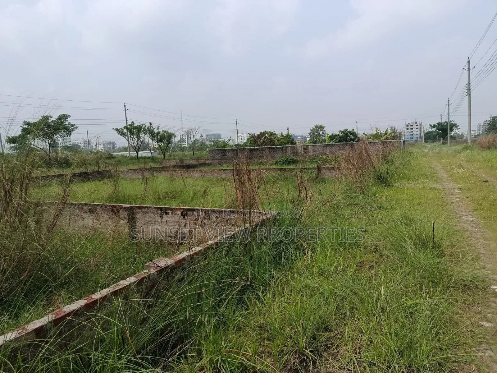 M-Block || 5 Katha || 100% Ready Plot in Basundhara