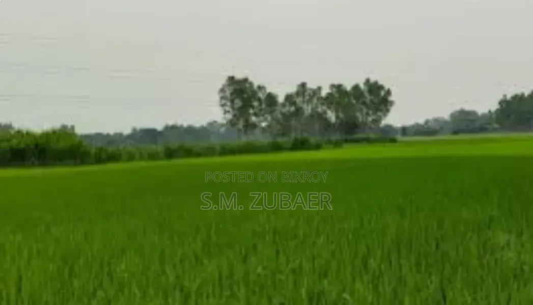 Agricultural, Farming, Industrial Land in Mithapukur