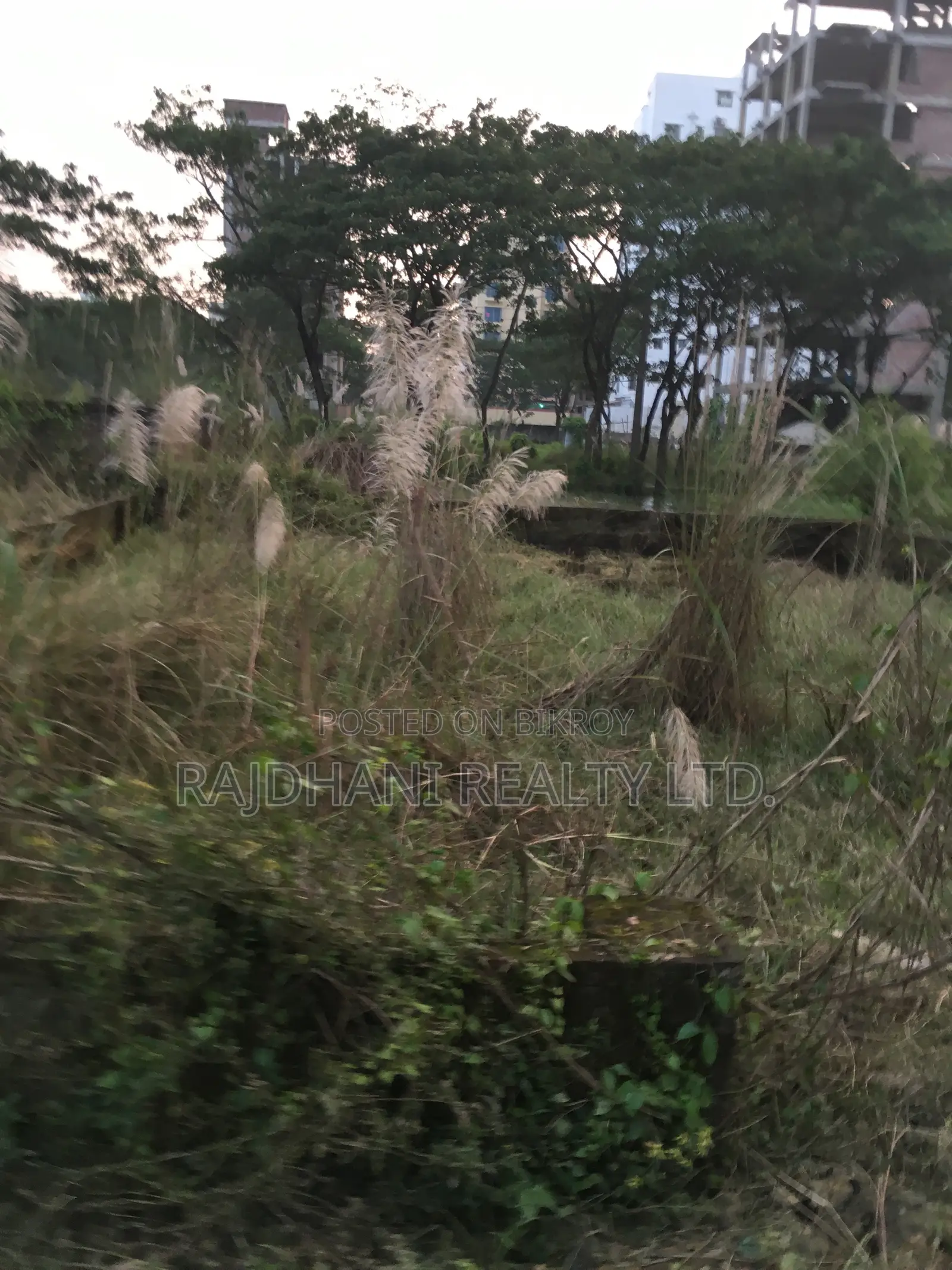 N-Block, 3 Katha Plot For Sale in Bashundhara in Basundhara