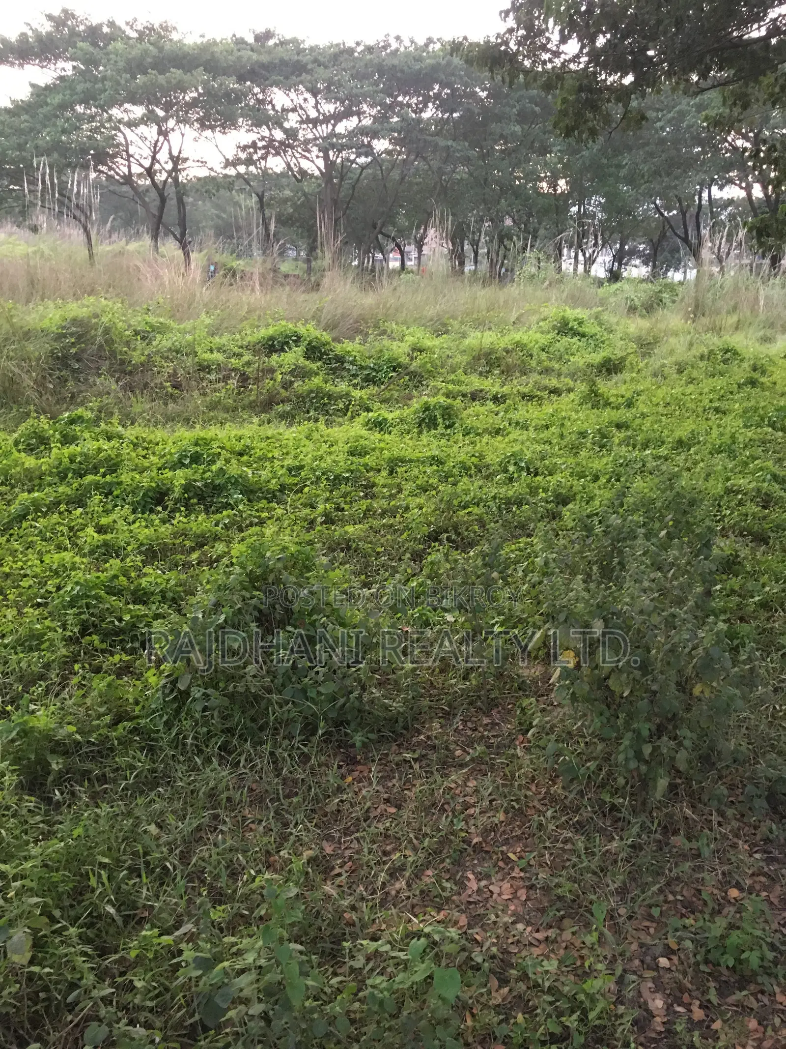 N-Block, 3 Katha Plot For Sale in Bashundhara in Basundhara