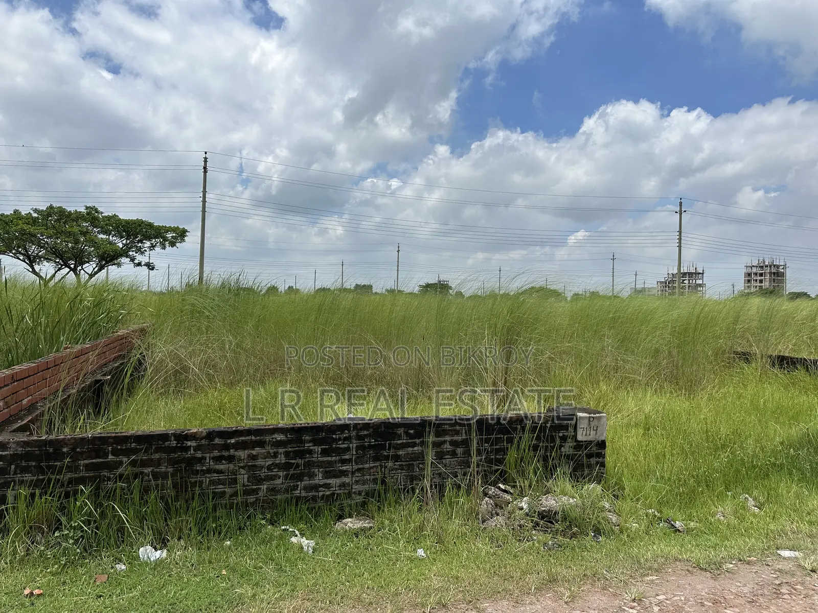 Block-P, 3-Katha, South-Face Plot Sell in Basundhara