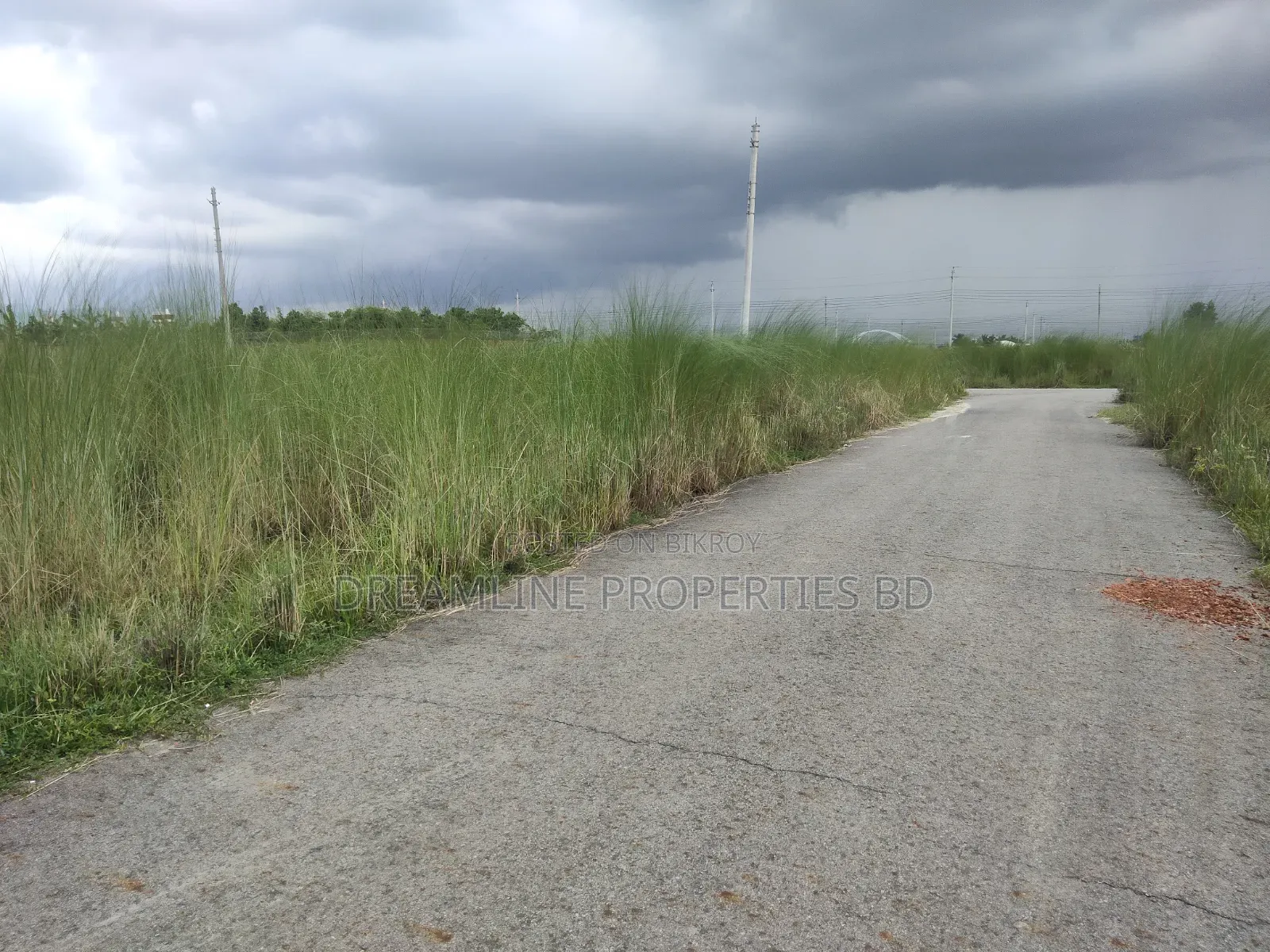 3 Katha Plot for Sale Near Community Park in N Block, Bashundhara R/A in Basundhara