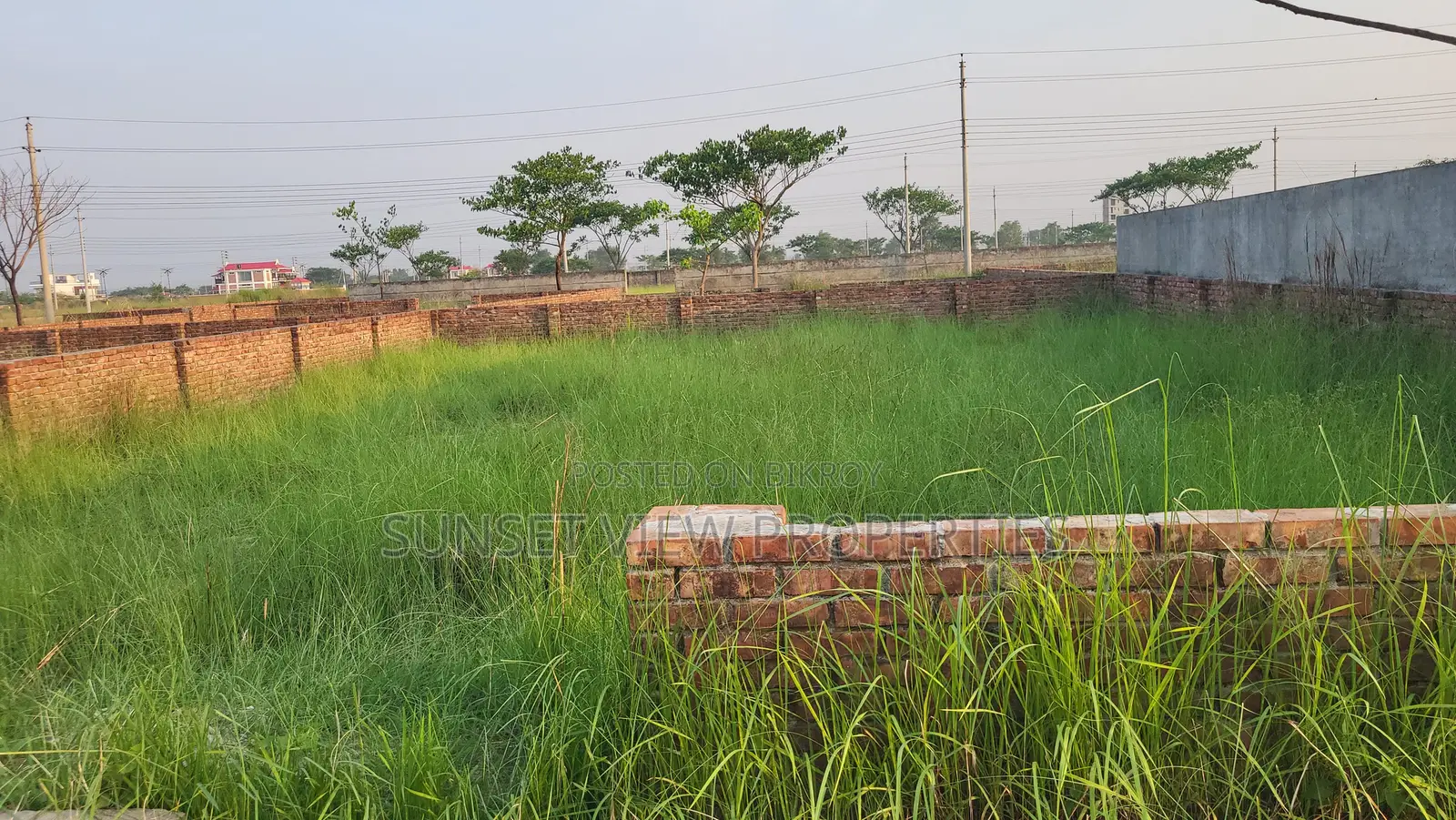 N-Block || North Face || 3 Katha Plot || Bashundhara R/A in Basundhara