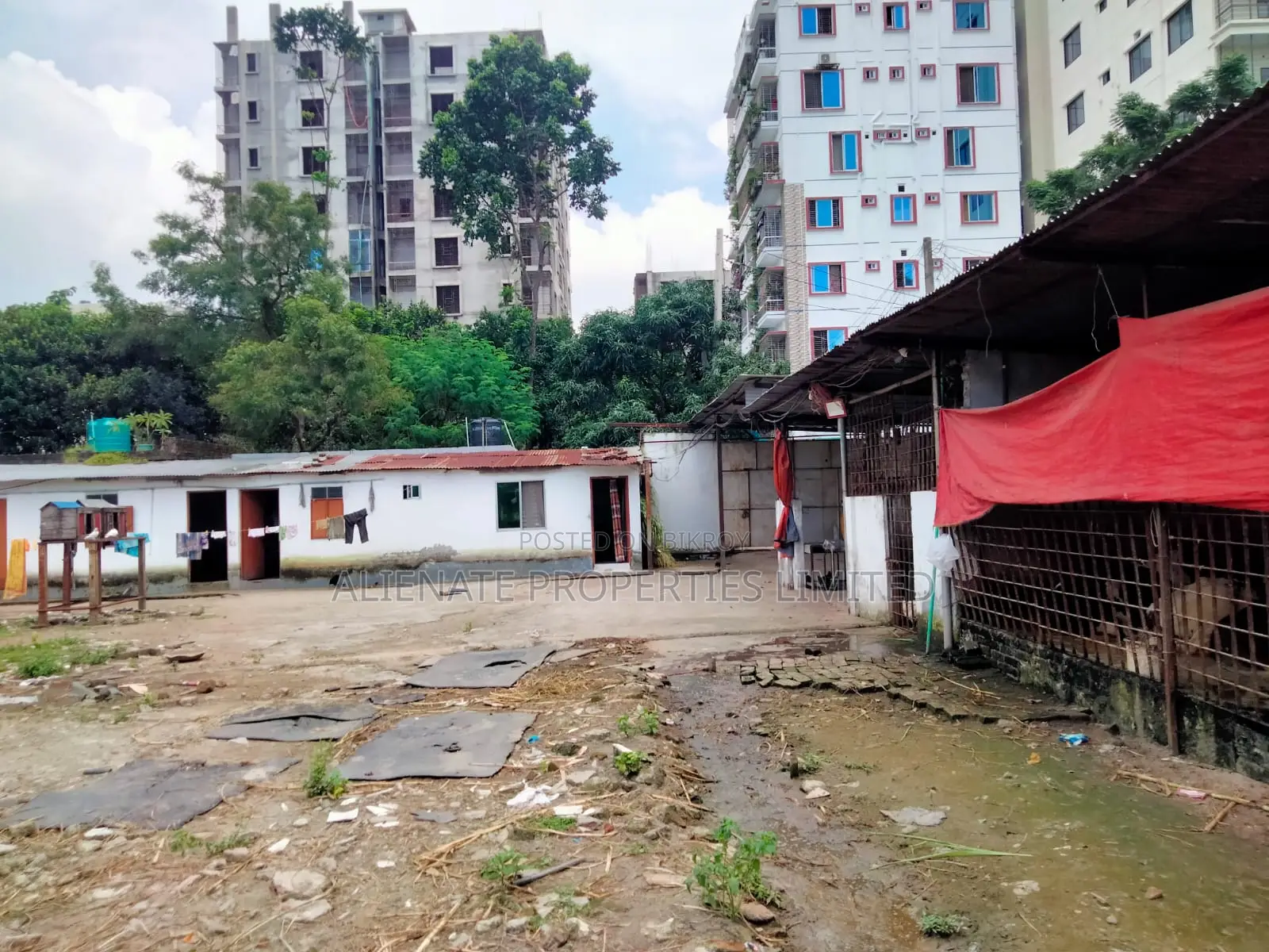 Land Share - From Dream to Deed — Your Land, Your Legacy. in Mohammadpur