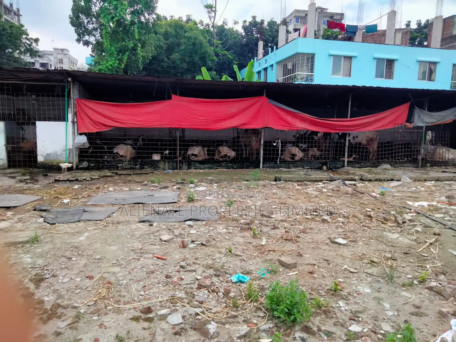 Land Share - From Dream to Deed — Your Land, Your Legacy. in Mohammadpur