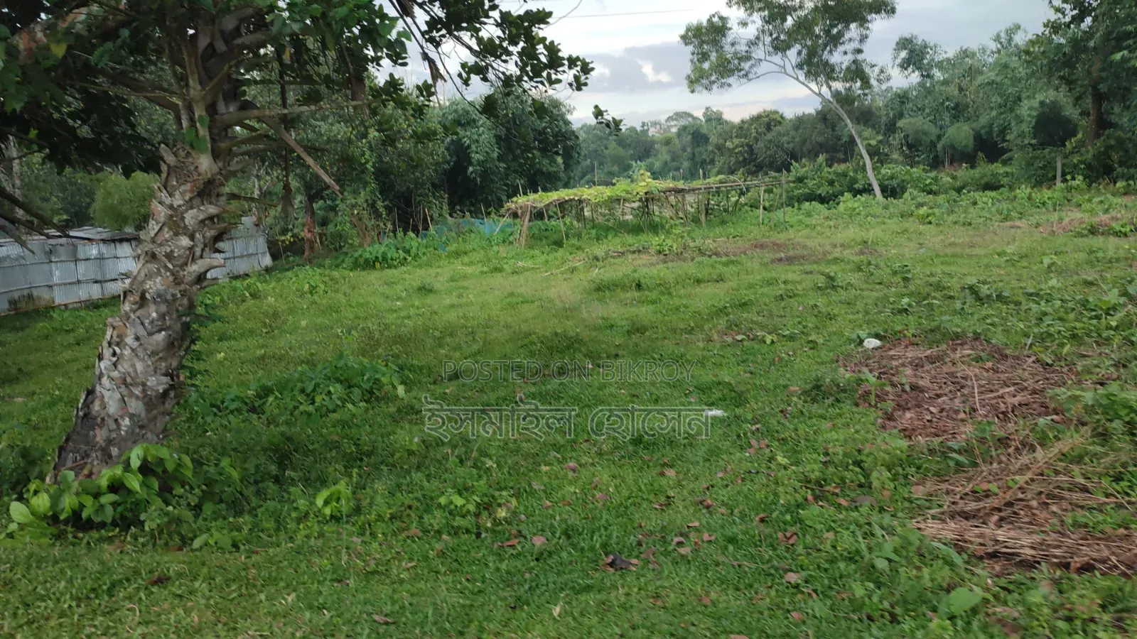 35 Satak Land for Sale at 85 Thousand Taka per Satak in Sreepur