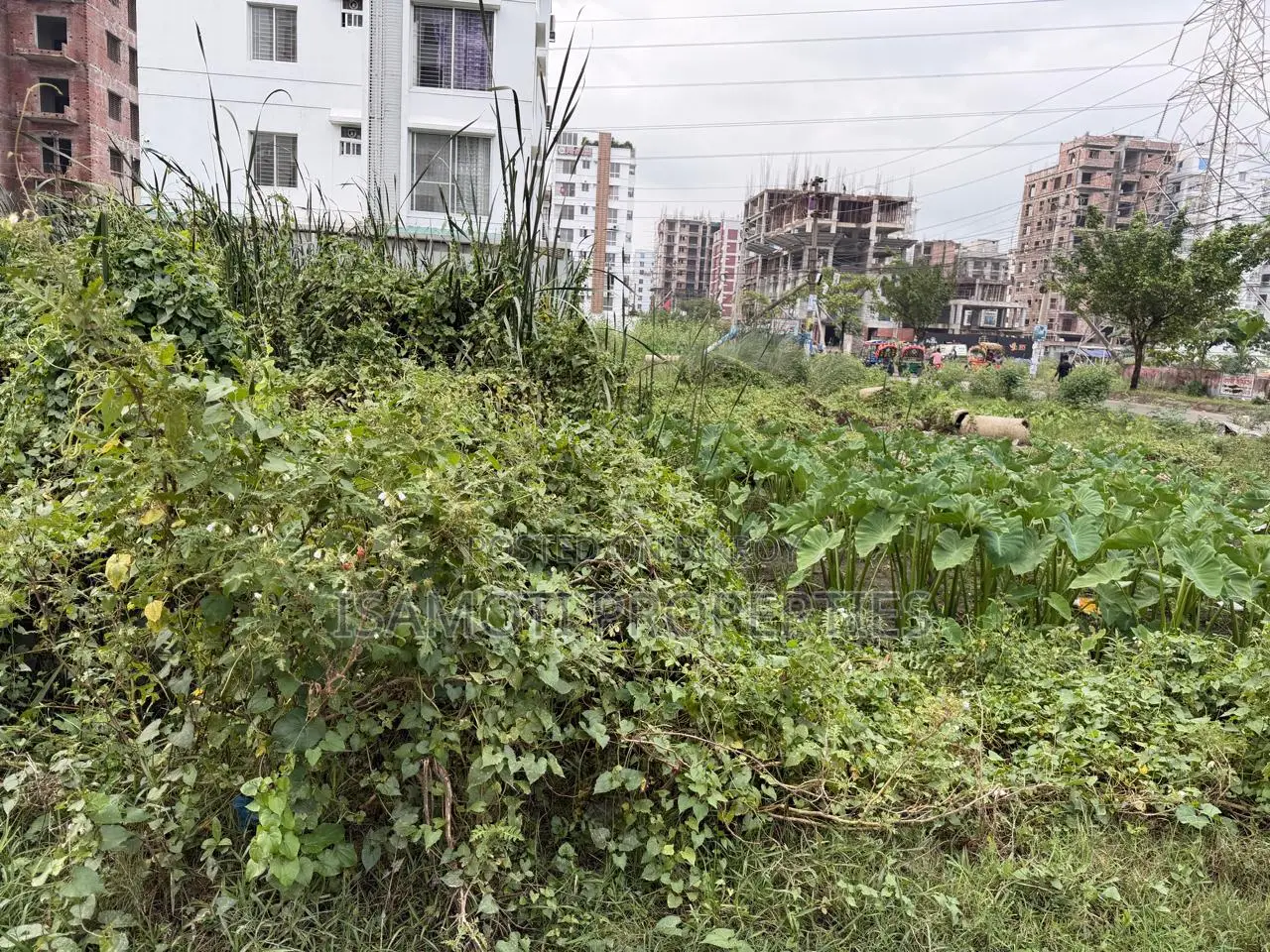 South Facing 3.5 Katha Plot for Sale in Aftab Nagar in Aftab Nagar
