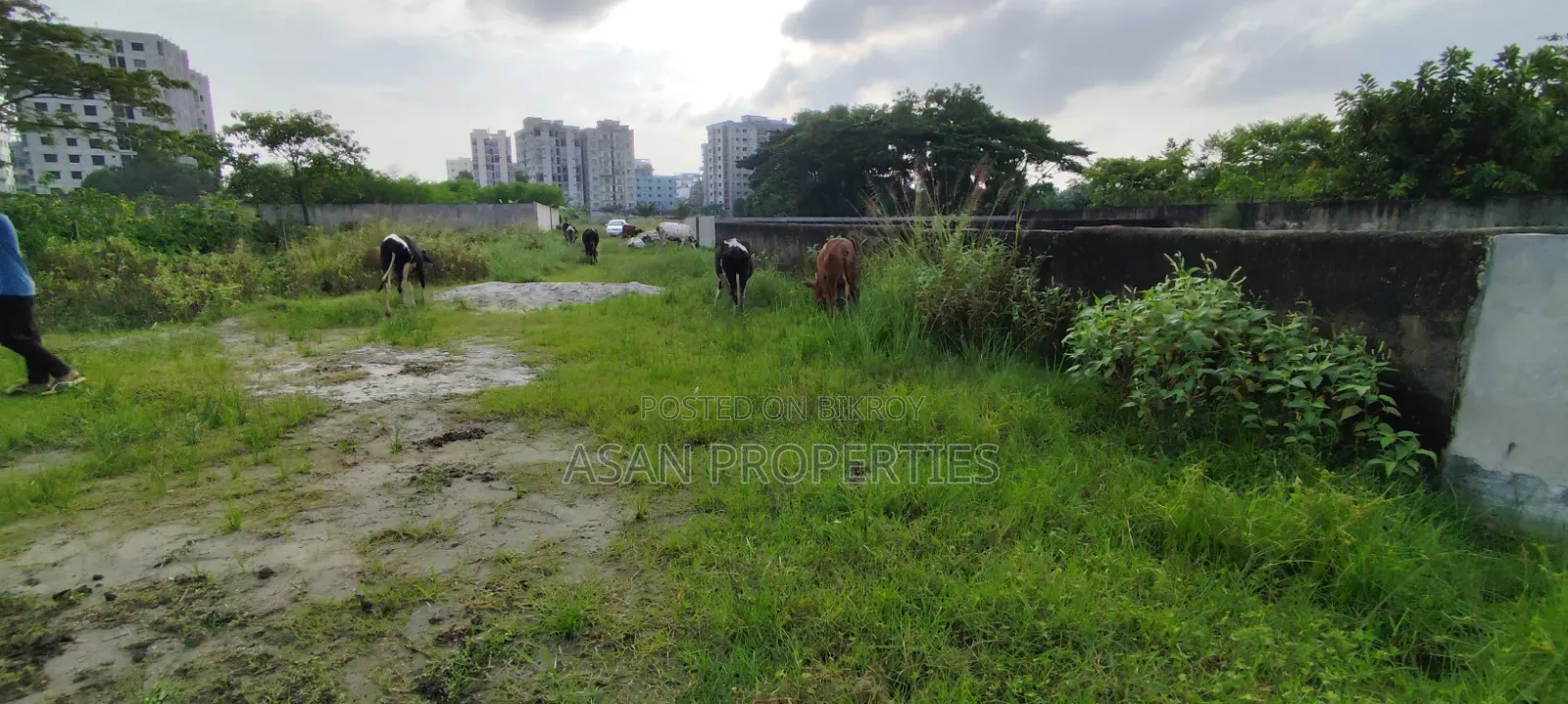 Ashiyan City 5 Katha South Facing Plot for Sale in Khilkhet