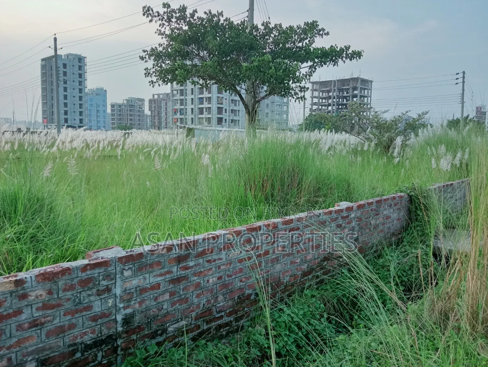 Basundhara Block-N Extension 12 Katha Land for Sale. in Basundhara