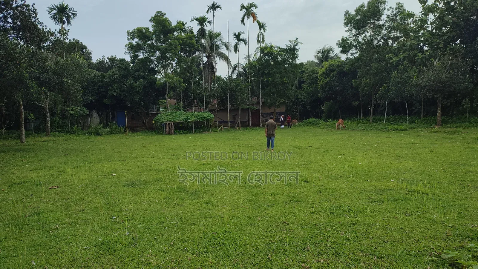 Land for sale 75 thousand taka per decimal in Sreepur