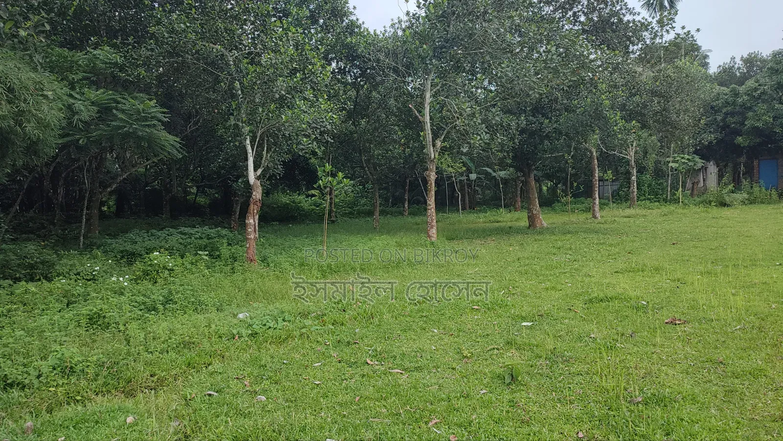 Land for sale 75 thousand taka per decimal in Sreepur