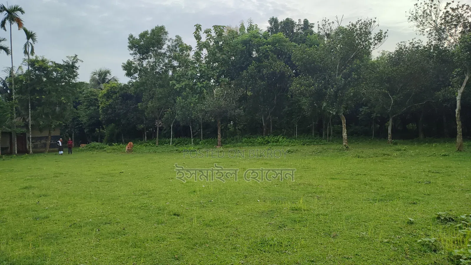 Land for sale 75 thousand taka per decimal in Sreepur