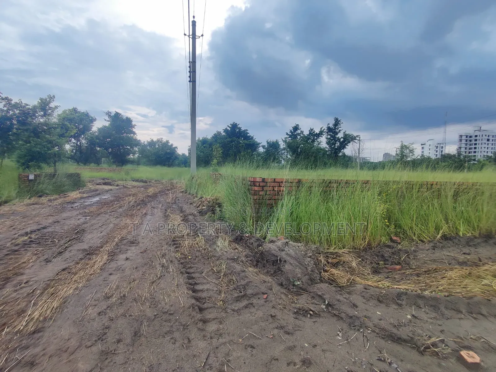 N-Extension // 5 Katha South Facing Plot Sale in Basundhara