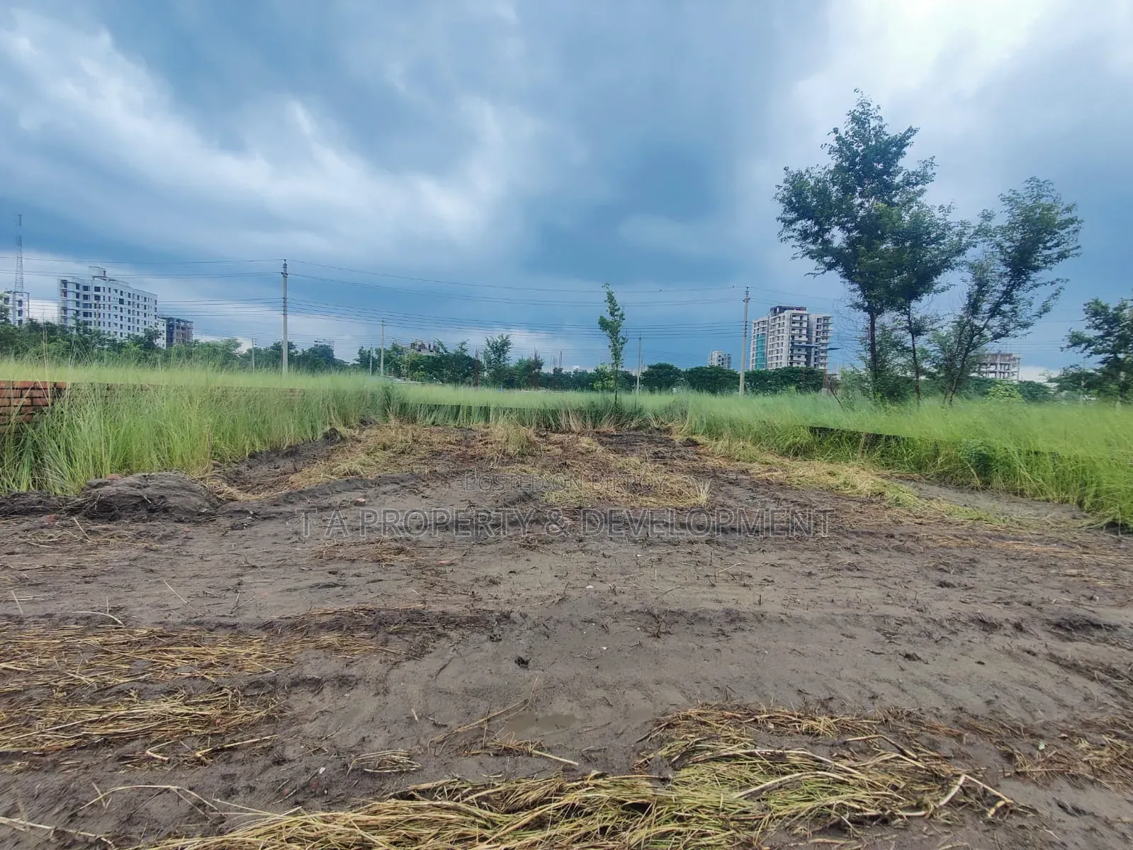 N-Extension // 5 Katha South Facing Plot Sale in Basundhara