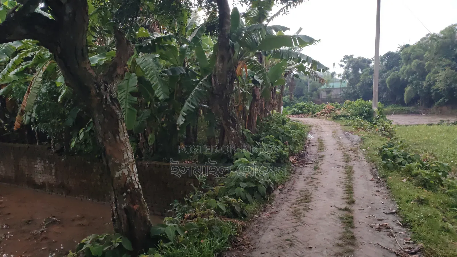 6 Decimal Land for Sale | Total Price in Sreepur