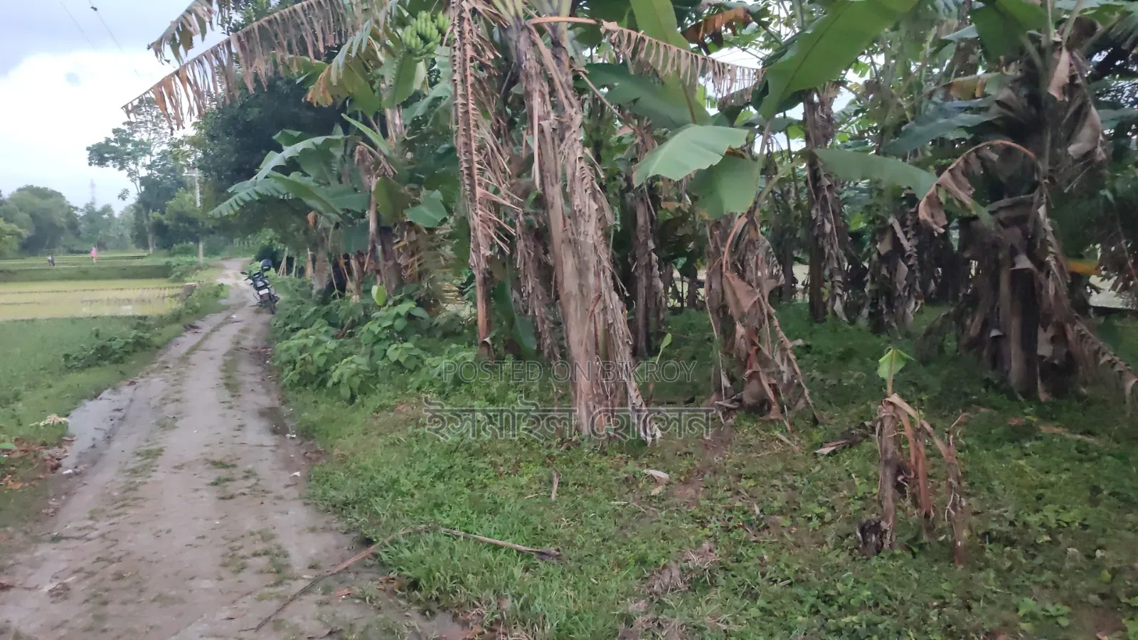 6 Decimal Land for Sale | Total Price in Sreepur