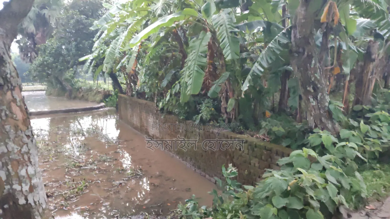 6 Decimal Land for Sale | Total Price in Sreepur