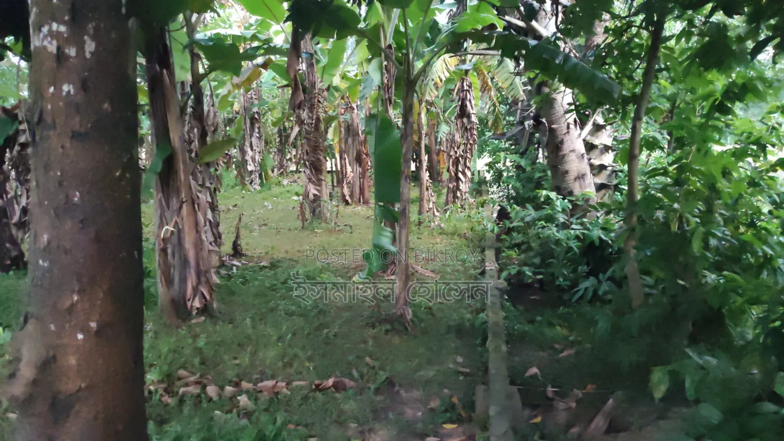 6 Decimal Land for Sale | Total Price in Sreepur
