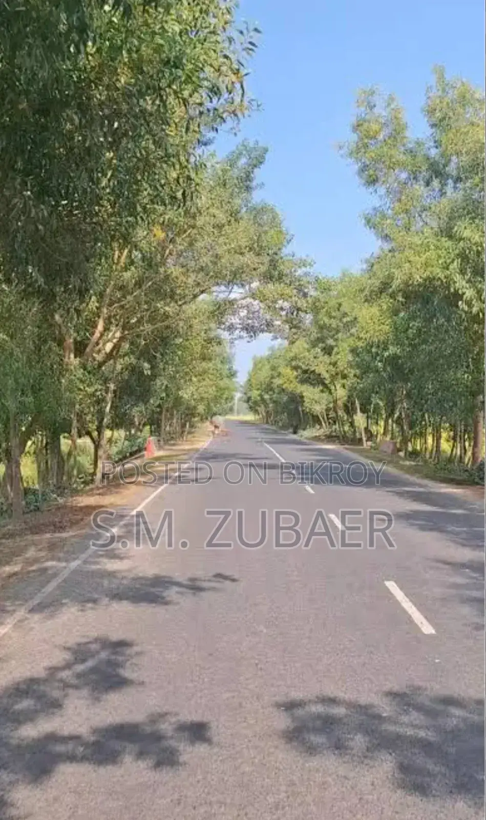 Agricultural, Farming, Industrial Land in Mithapukur