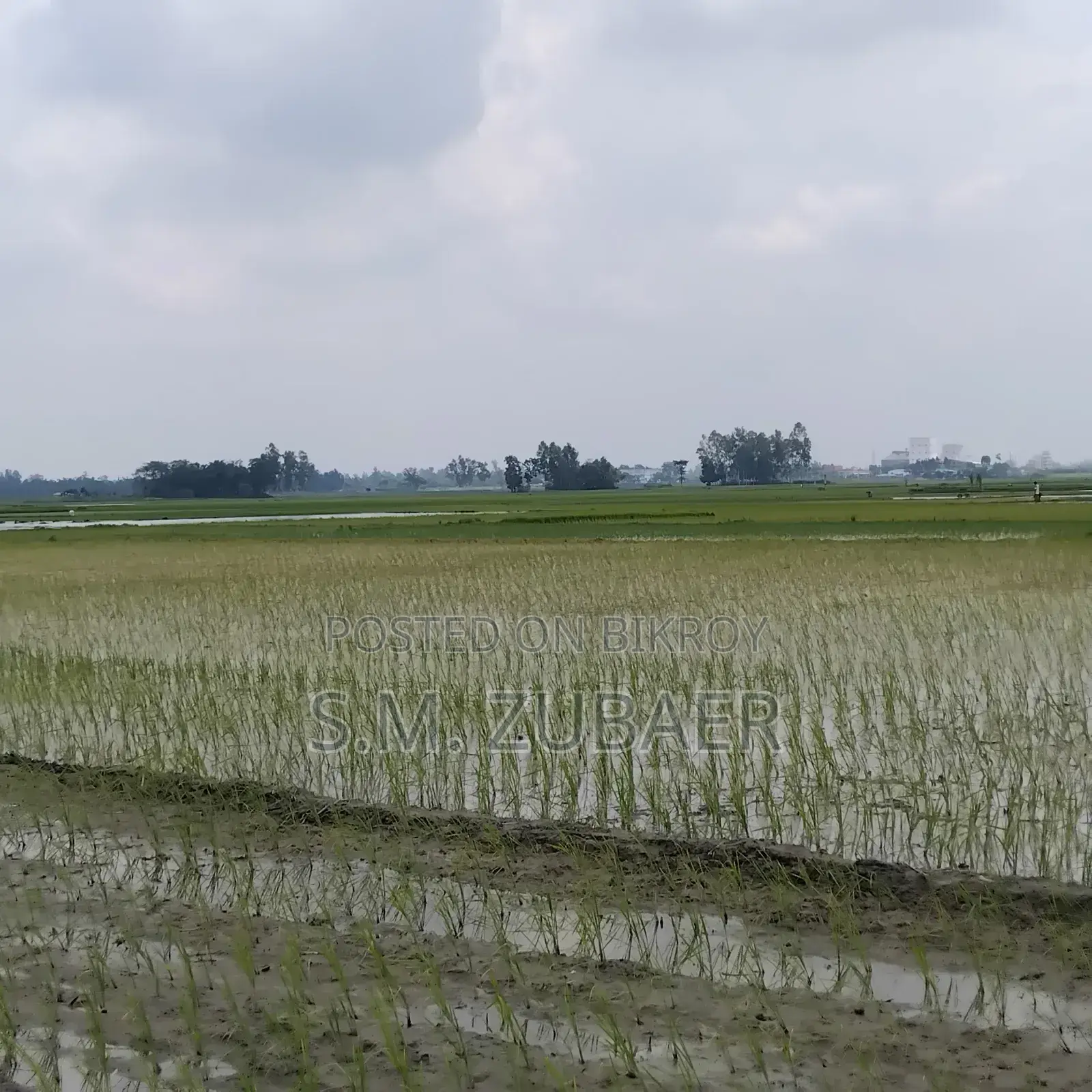 Agricultural, Farming, Industrial Land in Mithapukur