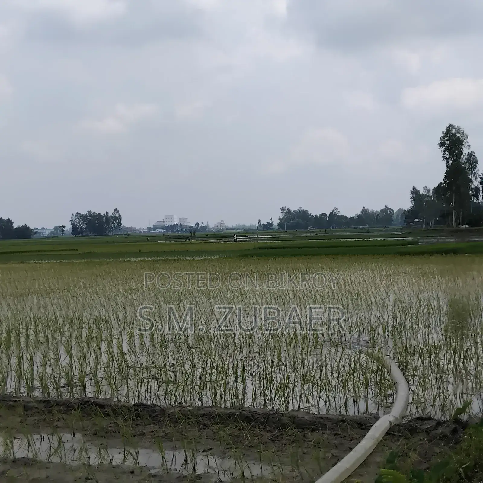 Agricultural, Farming, Industrial Land in Mithapukur