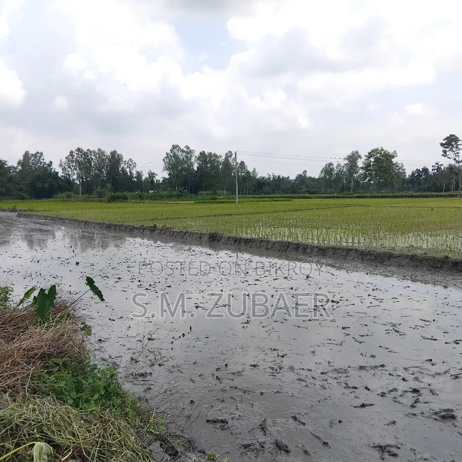 Agricultural, Farming, Industrial Land in Mithapukur