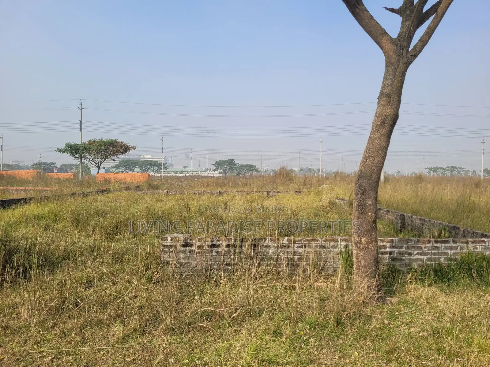 Block P || North Face || Serial 5300 || Urgent Sale Plot in Basundhara