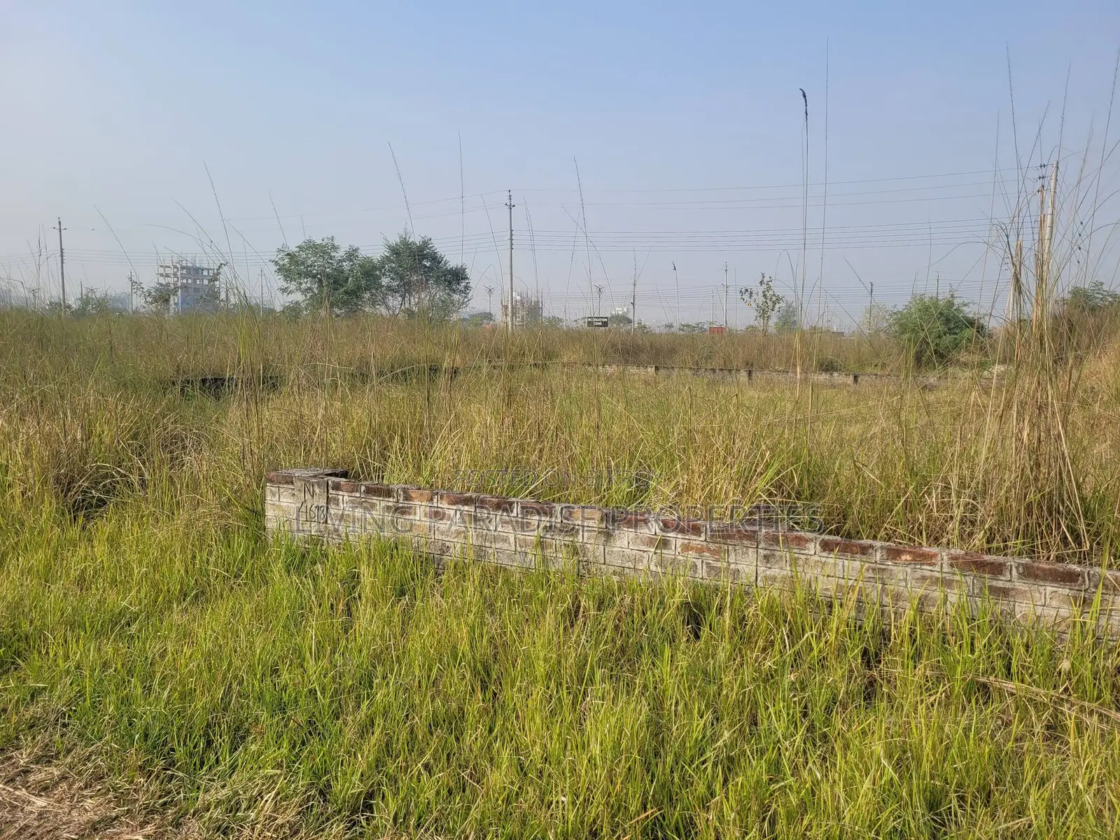 Block P || North Face || Serial 5300 || Urgent Sale Plot in Basundhara