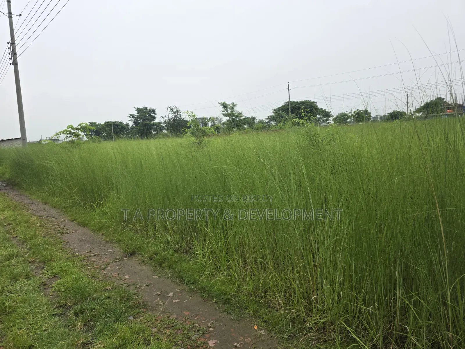 5 Katha || South Facing || N-Extension Plot Sale in Basundhara
