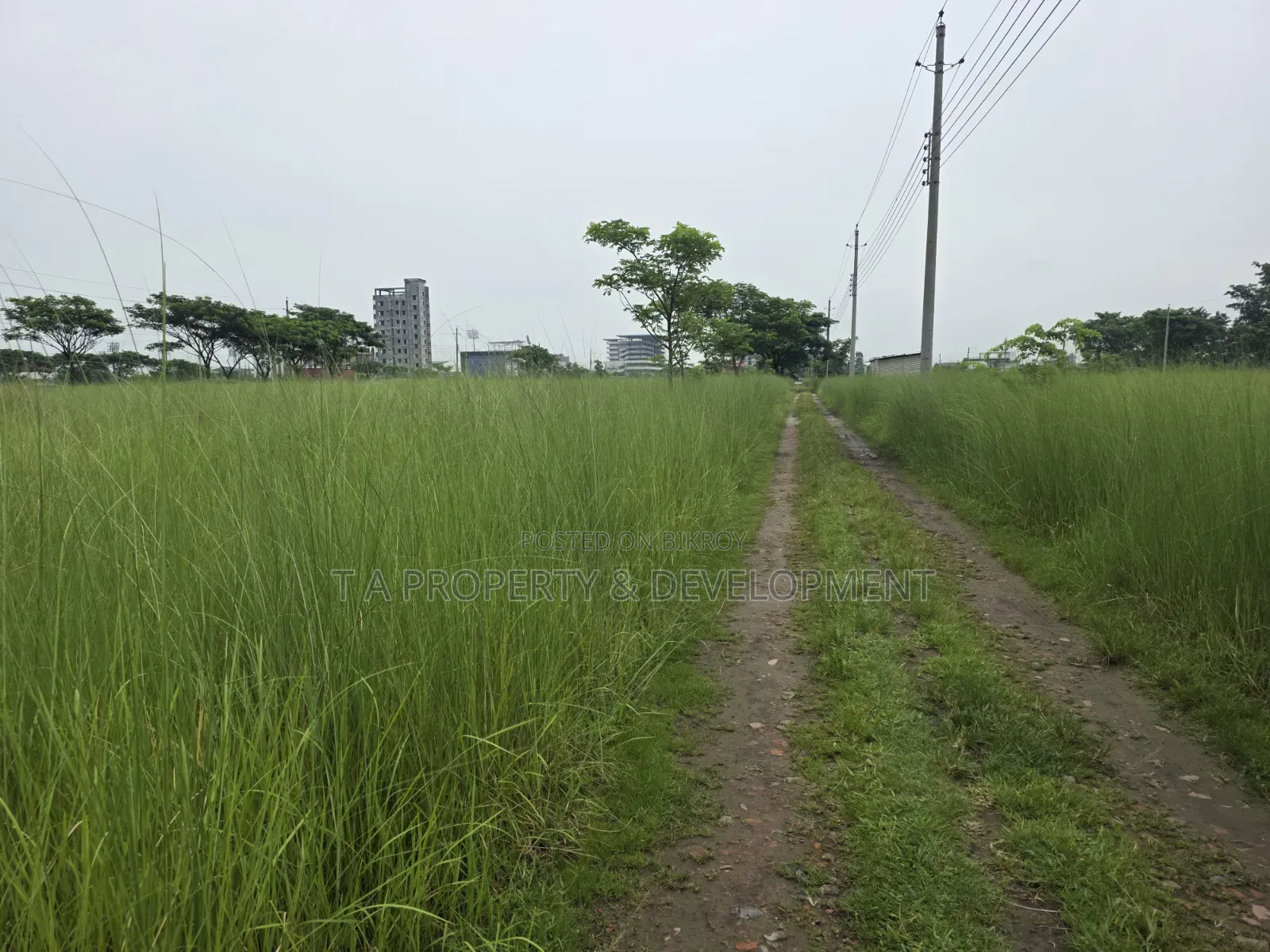 5 Katha || South Facing || N-Extension Plot Sale in Basundhara