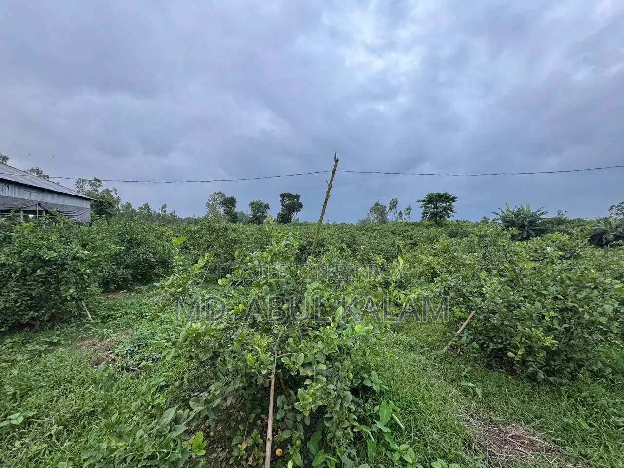 1140 Katha Land Share for Sale in Aftabnagar in Aftab Nagar