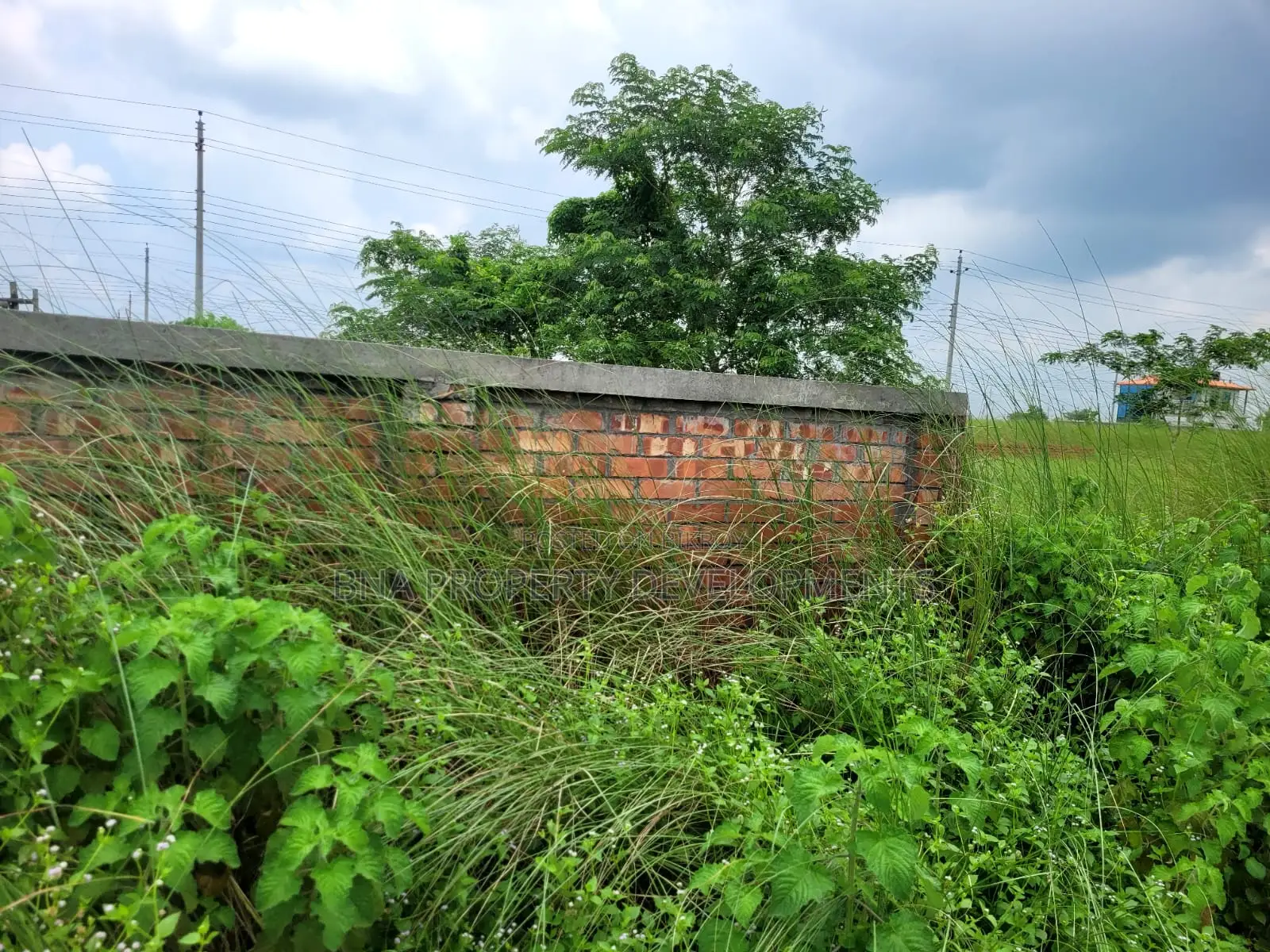 Bashundhara 3 Katha Plot for Sale | P Block 5500 Serial in Basundhara