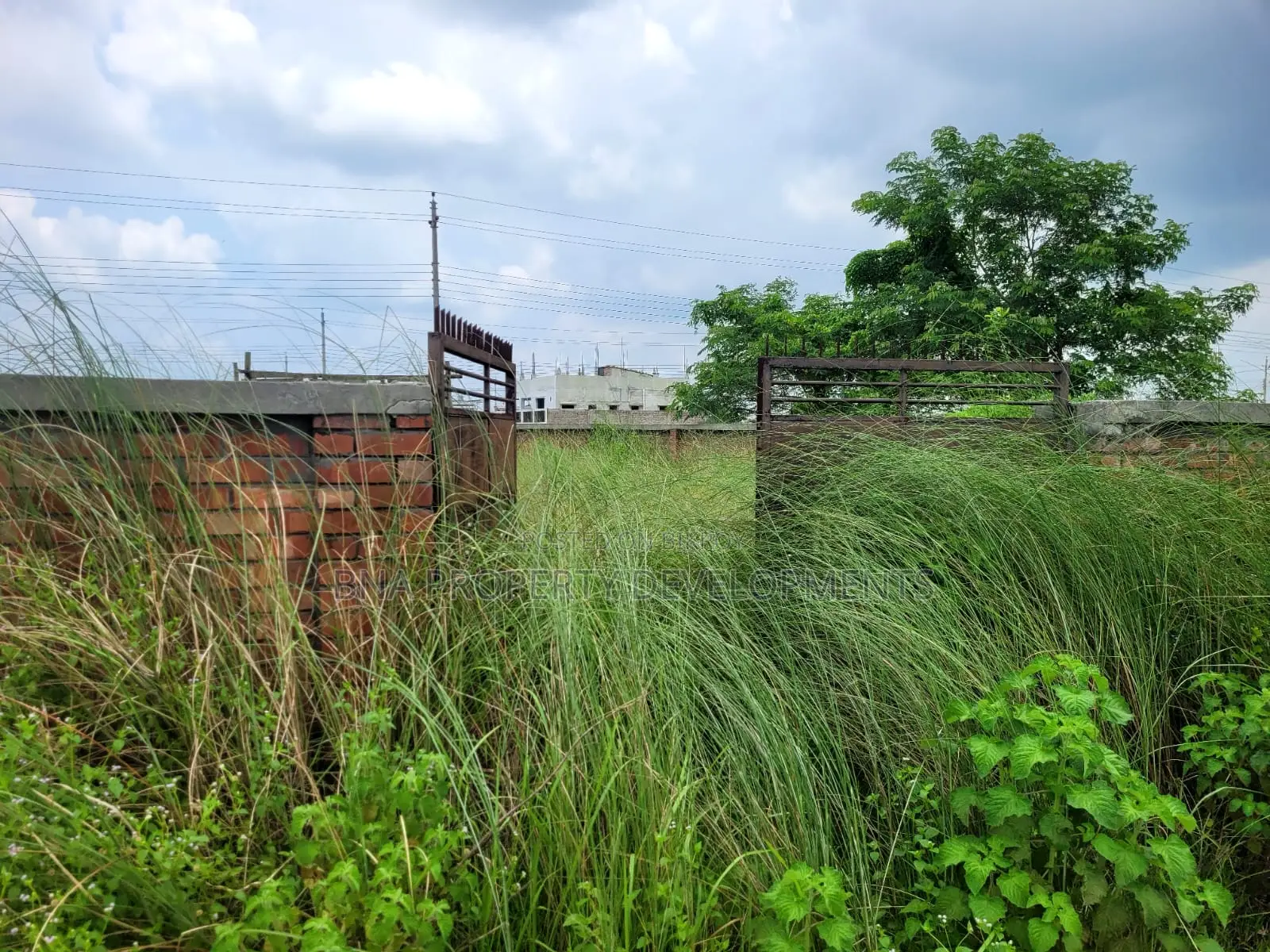 Bashundhara 3 Katha Plot for Sale | P Block 5500 Serial in Basundhara