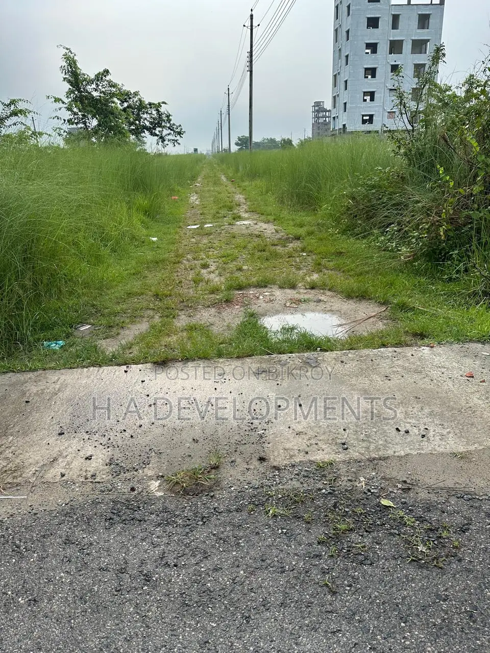 Ready to Build 5 Katha Plot | Bashundhara R/A, Block-N in Basundhara