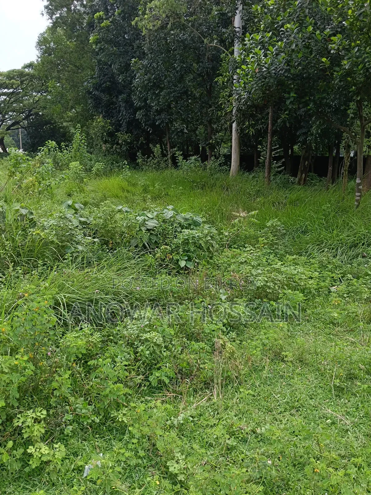 Plot For Sale in Savar