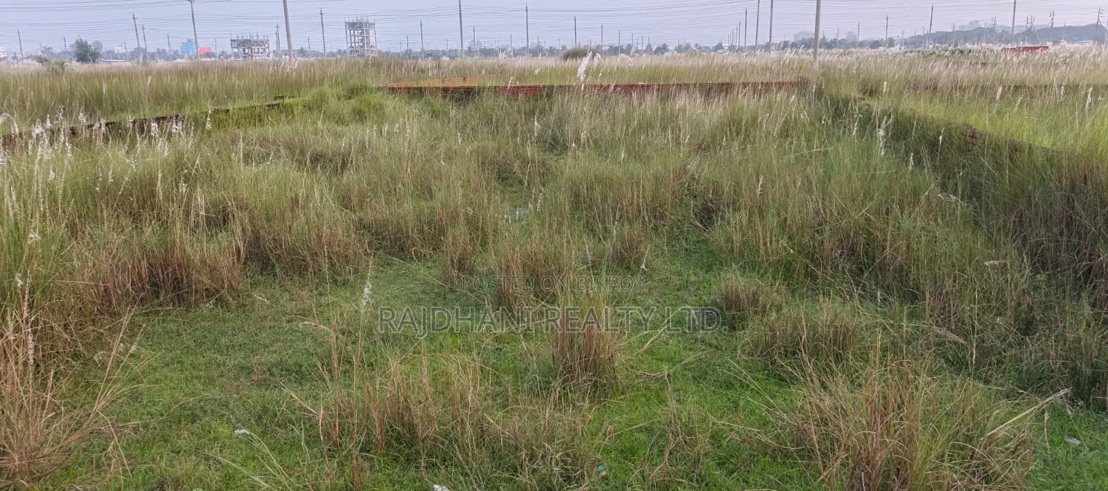 L Block, 40 Katha Plot for Sale in Bashundhara, Baridhara. in Basundhara