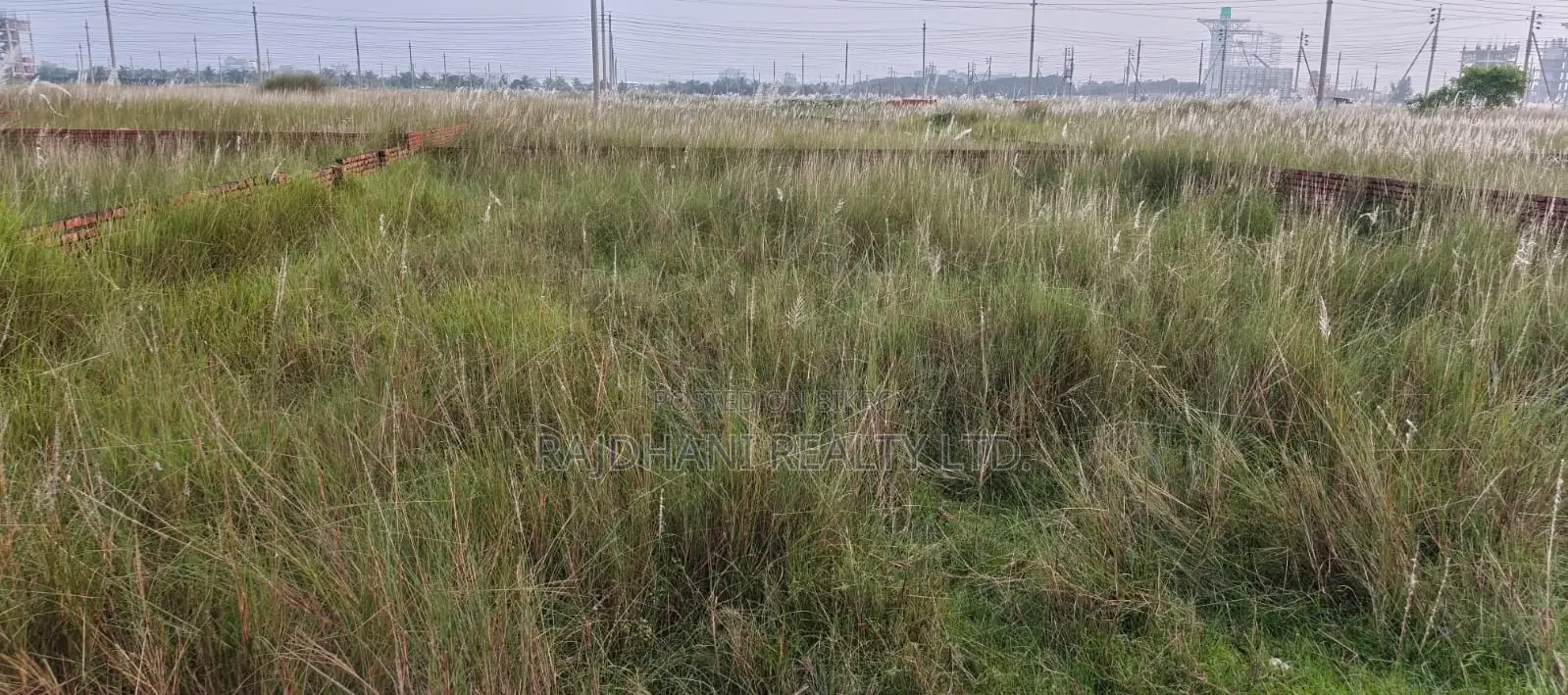 L Block, 40 Katha Plot for Sale in Bashundhara, Baridhara. in Basundhara
