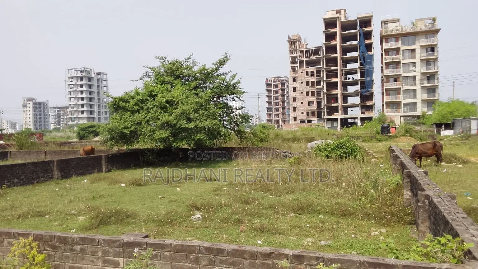 Block M, 7.5 Katha Plot for Sale in Bashundhara, Baridhara. in Basundhara