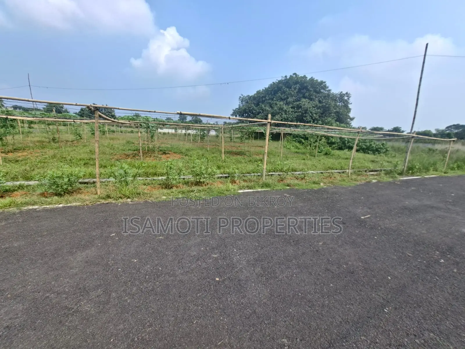 3 Katha Purbachal Sector 28 in Purbachal